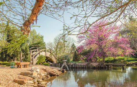 japanese garden springfield mo|nathanael greene park springfield mo.